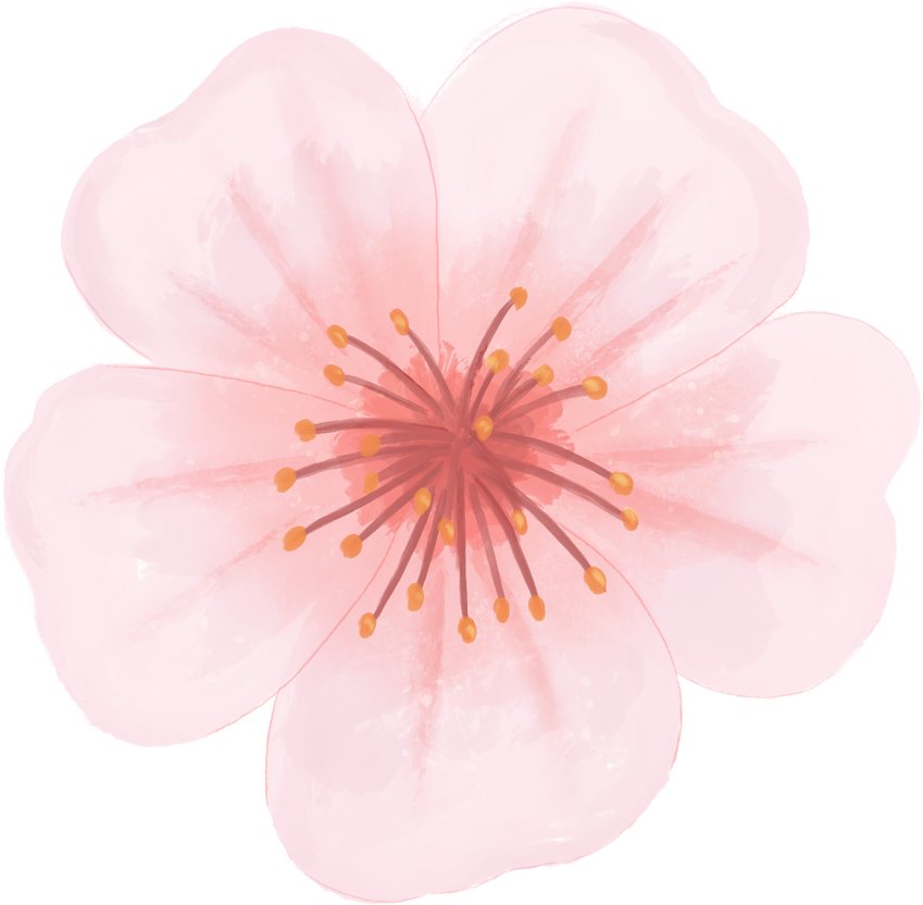 Painterly Textured Lunar New Year Cherry Blossom